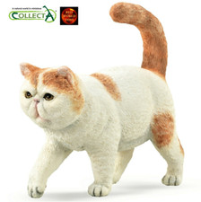 Exotic Shorthair Cat Toy Model