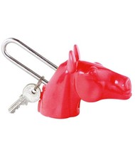 Lucchetto in metallo per bauli