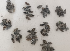 PUNTALI strisce pedana per