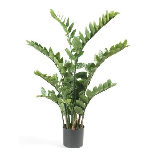 Pianta finta emerald - emerald, felce