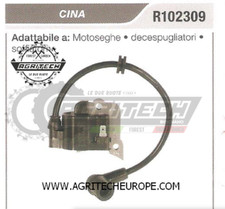 R102309 bobina elettronica - ,