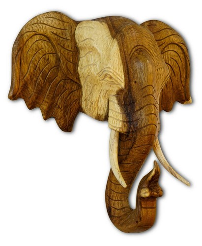 Testa elefante legno - di,