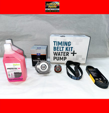 Kit distribuzione pompa acqua - distribuzione,