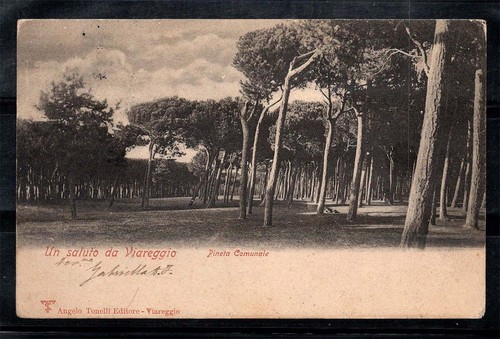 Viareggio 1900 cartolina - 1900-30,