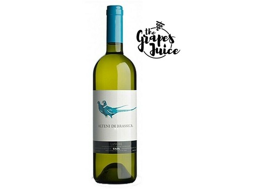 Gaja alteni brassica 2011 - alteni, di