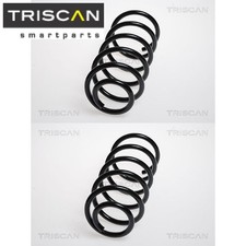 2 molle sospensione Triscan