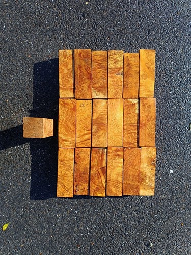 Blocchetto in radica di - n.,
