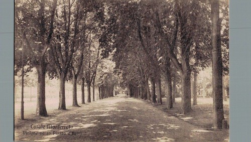 Casale vialone verso - casale,