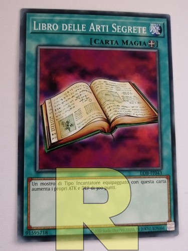 Libro delle arti segrete - libro, /