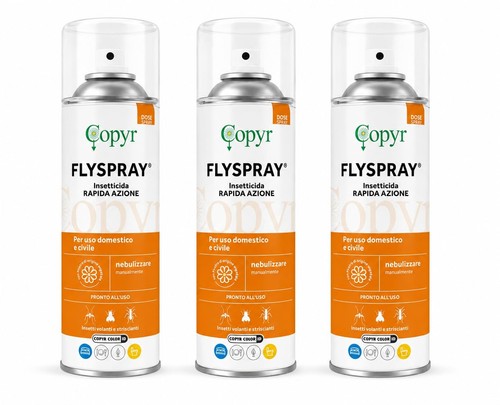 Copyr flyspray insetticida - flyspray,