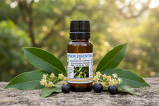 Olio essenziale puro di