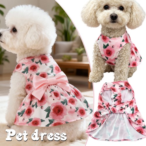 Carino vestito per - carino, cani