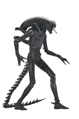 Alien romulus xenomorph xx121 - romulus,