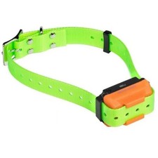 Collare verde di addestramento