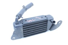 Radiatore olio sinistro BMW R