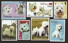 WEST HIGHLAND WHITE TERRIER **