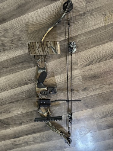 Golden eagle predator system - eagle,