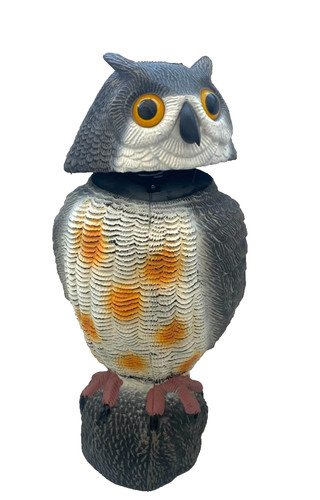 Gufo scaccia piccioni - 🦉,