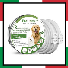 Collare antipulci cane - collare,