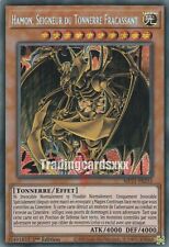 Yu-Gi-Oh! Hamon, Seigneur du Tonnerre Fracassant : PSE MP21-FR253