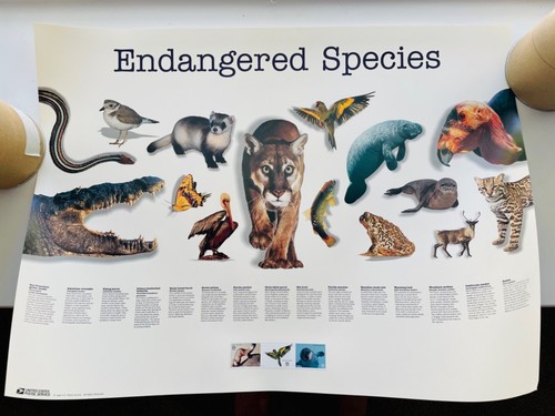 Poster specie via di - in,