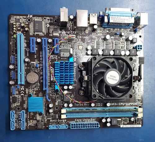 Scheda madre asus - scheda,