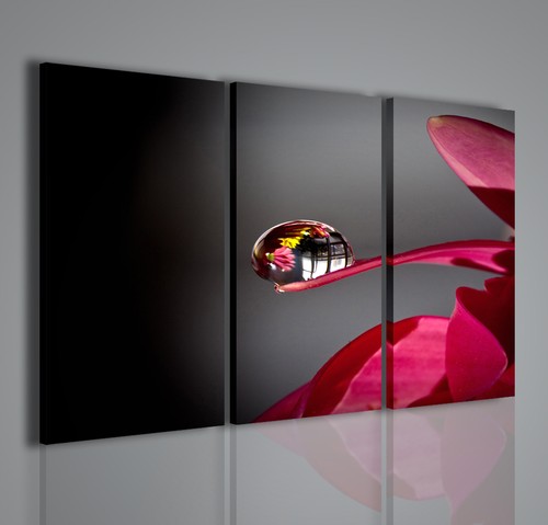 Quadri moderni flower - quadri,