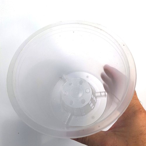 Vaso trasparente - vaso,
