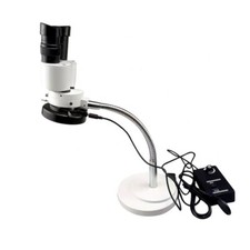 10X Microscopio Stereo