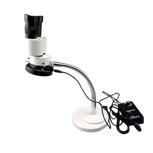 10x microscopio stereo - 10x,