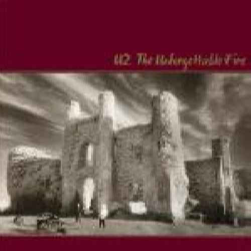 Unforgettable fire - u2, (lp)