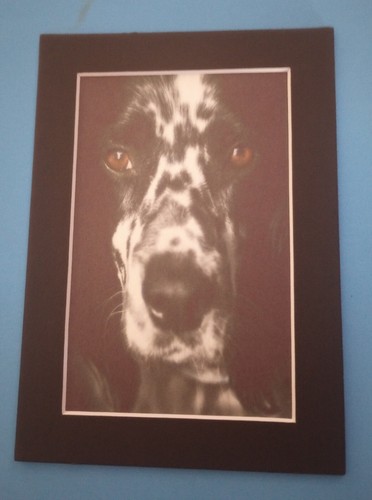 Matted x 6 print - 5", 6"