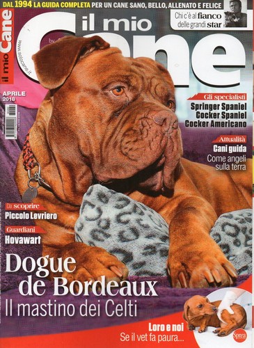 Mio cane 2018 260 - il,
