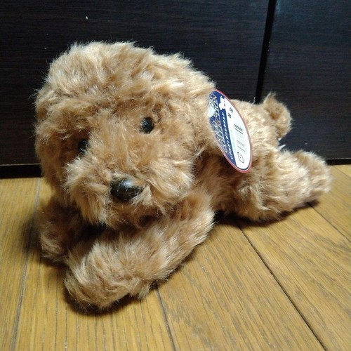 Barboncino giocattolo real dog - real,
