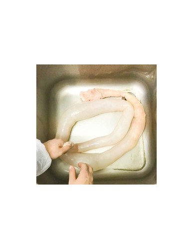 Gentile budello 100 naturale - 100%,