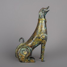 Bellissimo cane da doratura in