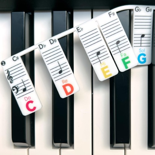 Strisce note pianoforte con - strisce,