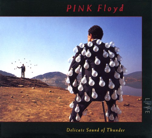 Pink floyd delicate - floyd, of