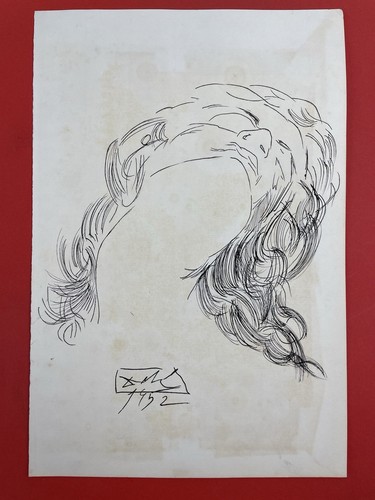 Salvador dali - salvador,