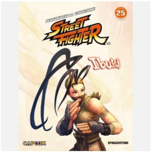 Street fighter collection - fighter,