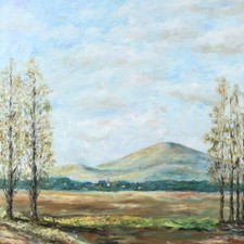 Splendido dipinto olio su