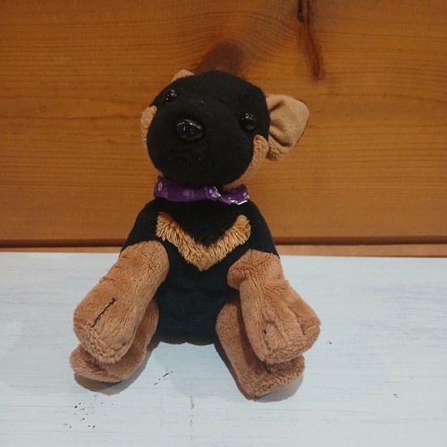 Nintendogs dobermann cucciolo - dobermann,