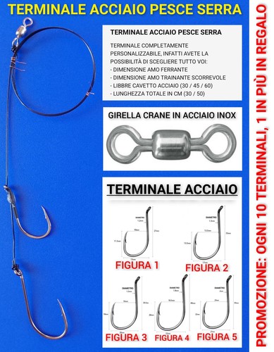 Terminale pesce serra - terminale, su