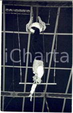 1970 ca ITALIA CIRCO MEDRANO Numero al trapezio con bambina (3) Foto 20x30 cm