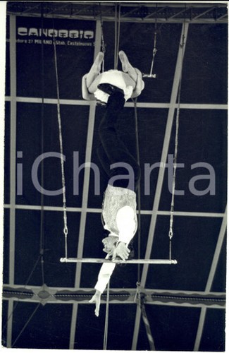 1970 italia circo medrano - ca,