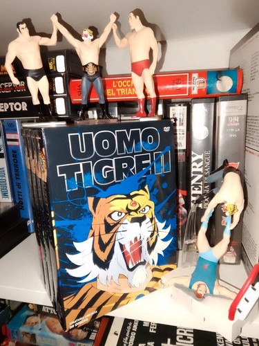Uomo tigre gachapon - tigre, e