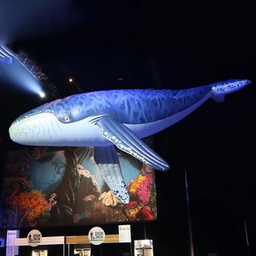 Gobba gonfiabile gigante per - gigante,