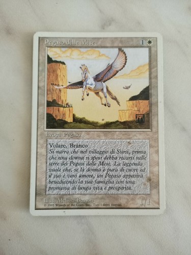 Magic the gathering 1995