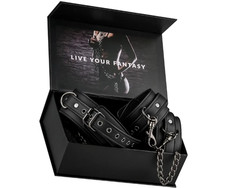 Premium set collare + manette
