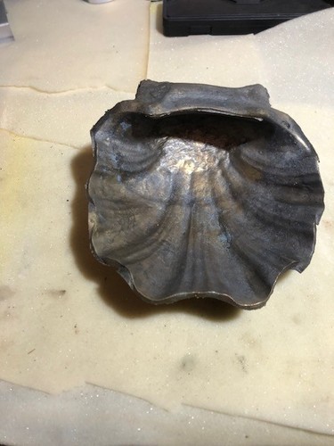Conchiglia ottone fusione - conchiglia,